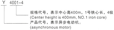 西安泰富西玛Y系列(H355-1000)高压YR6304-8三相异步电机型号说明